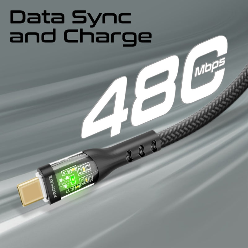Promate TransLine-CC200 Black 2m USB-C to USB-C cable full length