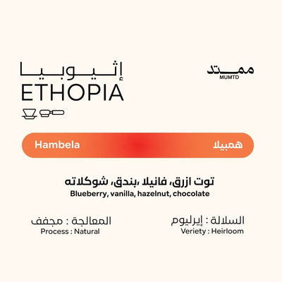 قهوة ممتد - هامبيلا وزن 250 غرام | Mumtd - Hambela - Ethiopia 250g