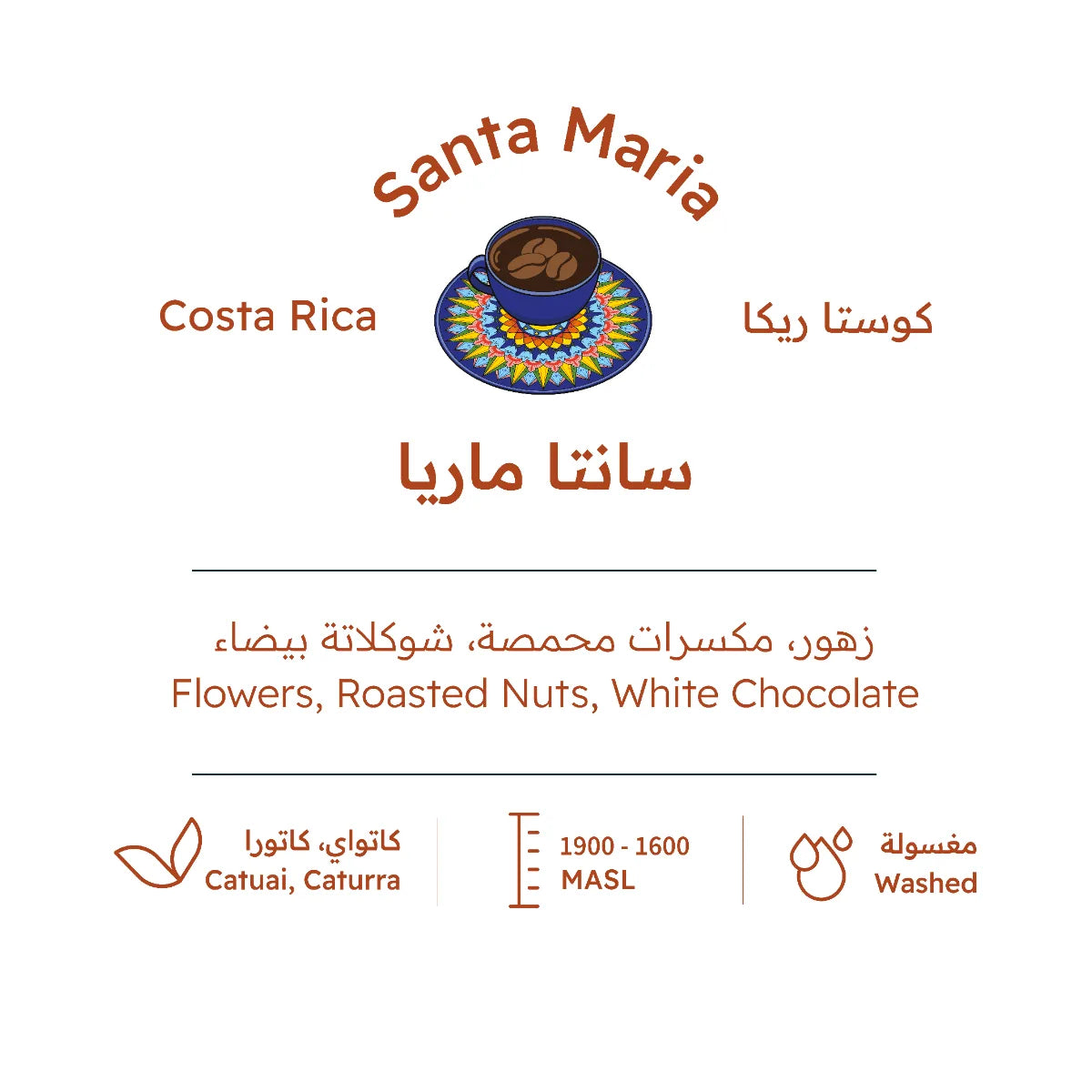 قهوة بيت التحميص - سانتا ماريا وزن 227 غرام | Roasting House - Santa Maria - Costa Rica 227g