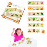 فيجا لغز مراحل النمو | Viga Growing Puzzle Set