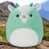 سكويشمالوز بالمر الماعز الأخضر فازامالوز 30 سم | Squishmallows Palmer Green Goat Fuzzamallows 12-Inch Plush