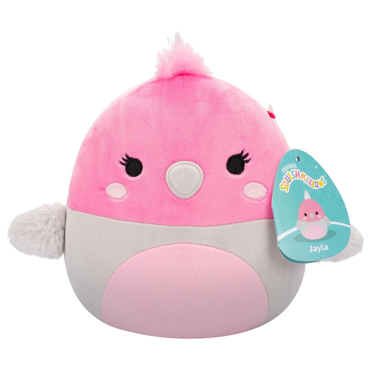 سكويشمالوز جايلا طائر الغالاه 19 سم | Squishmallows Jayla Galah Cockatoo 7.5-Inch Plush