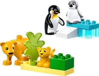 ليغو دوبلو عائلات الحيوانات البرية: البطاريق والأسود | LEGO DUPLO Wild Animal Families: Penguins & Lions 10442