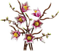 ليغو نباتات أغصان الماغنوليا | LEGO Botanicals Magnolia Branches 11510