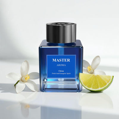 Master Home Perfume & Aroma Diffuser 500ml – Black | جهاز عطور وناشر أروما ماستر 500مل أسود