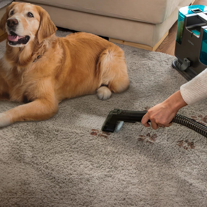 منظف السجاد والمفروشات سيكوتيك Conga 3000 CarpetClean لإزالة البقع والتنظيف العميق | Cecotec Conga 3000 CarpetClean Upholstery & Spot Cleaner