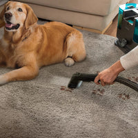 منظف السجاد والمفروشات سيكوتيك Conga 3000 CarpetClean لإزالة البقع والتنظيف العميق | Cecotec Conga 3000 CarpetClean Upholstery & Spot Cleaner