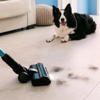 مكنسة لاسلكية Cecotec Conga Rockstar 3500 Storm Pet Flex للحيوانات الأليفة | Cecotec Conga Rockstar 3500 Storm Pet Flex Cordless Vacuum Cleaner