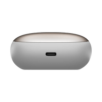 Momax 1-Vibe Lite ANC Earbuds Titanium - Case Open