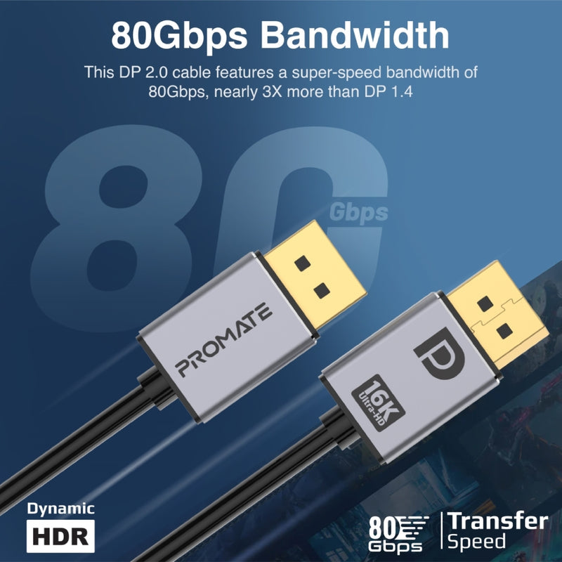 Promate DPLink-16K gold-plated DisplayPort connector detail