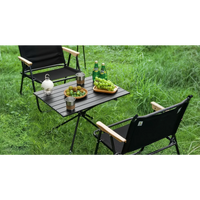 طاولة تخييم جرين لايون CAMP T2 قابلة للطي - أسود | Green Lion CAMP T2 Foldable Camping Table – Black