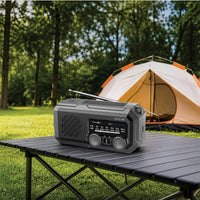 راديو وكشاف وباور بانك جرين لايون G-Radio Lite ببطارية 2000mAh - أسود | Green Lion G-RADIO LITE 2000mAh Power Bank , Radio , Flashlight – Black