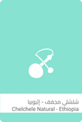 قهوة سلالات - شلشلي وزن 250 غرام | Sulalat - Chelchele - Ethiopia 250g
