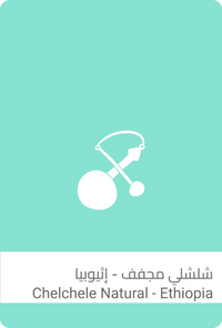 قهوة سلالات - شلشلي وزن 250 غرام | Sulalat - Chelchele - Ethiopia 250g