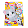 القطة التفاعلية ميتنز أوتشيز | Little Live Pets Ouchies Mittens