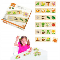 فيجا لغز مراحل النمو | Viga Growing Puzzle Set
