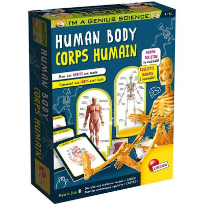مختبر جسم الإنسان التعليمي | Lisciani I'm a Genius Human Body