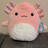 سكويشمالوز آرتشي الأكسولوتل الوردي 36 سم | Squishmallows Archie Pink Axolotl 14-Inch Plush
