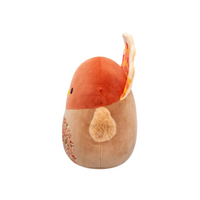 سكويشمالوز غوبريانا الديك الرومي 19 سم | Squishmallows Gobrianna Turkey 7.5-Inch Plush